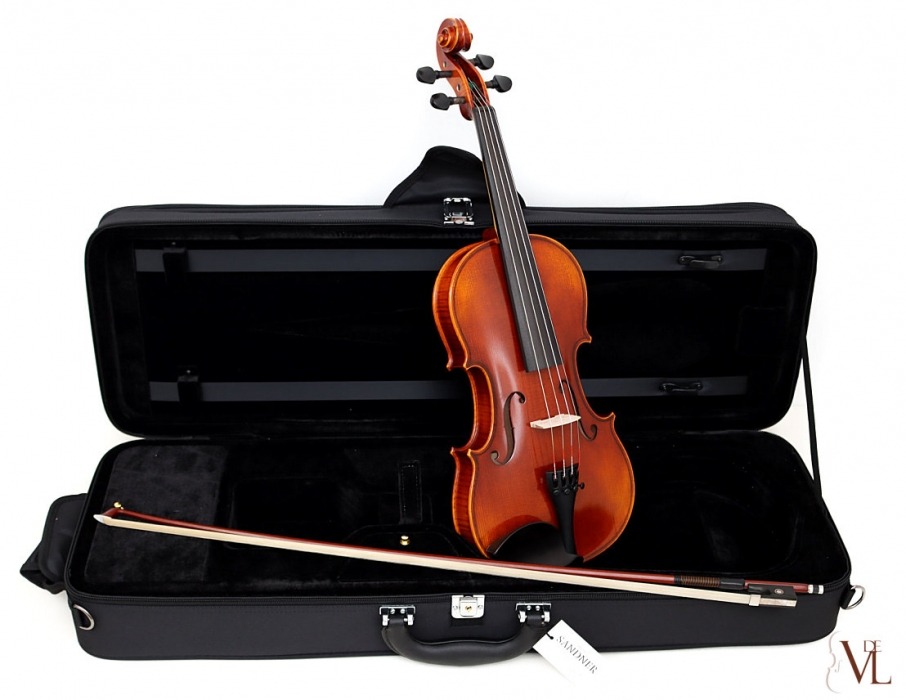 Violin Franz Sandner Set Mod 107