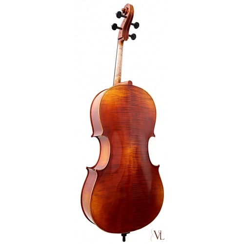 Cello Soloist