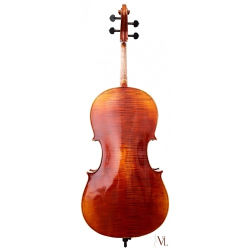 Cello Soloist