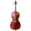 Cello Franz Sandner 503 A