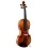 Paula Lazzarini - Antonio Stradivari