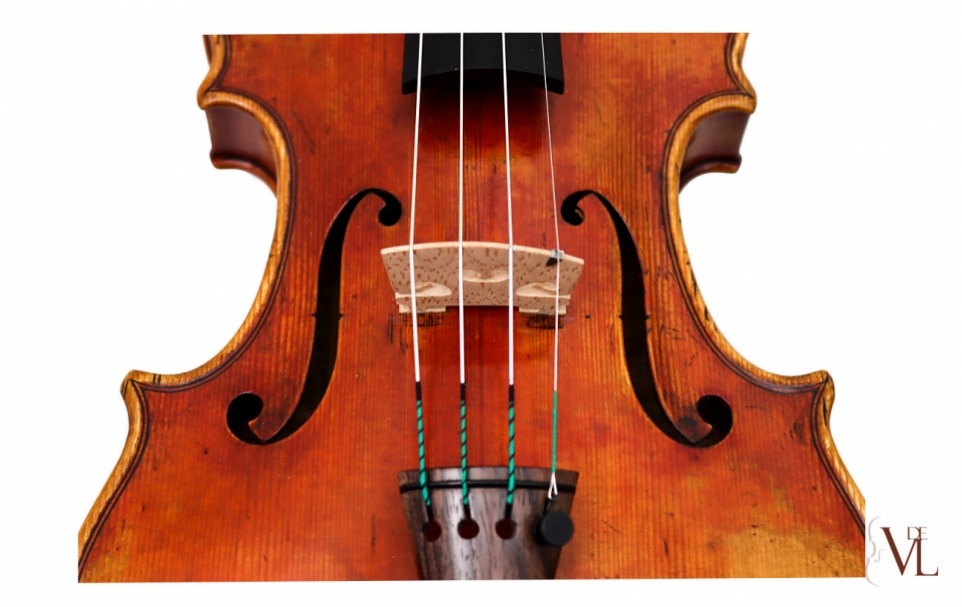 Paula Lazzarini - Antonio Stradivari