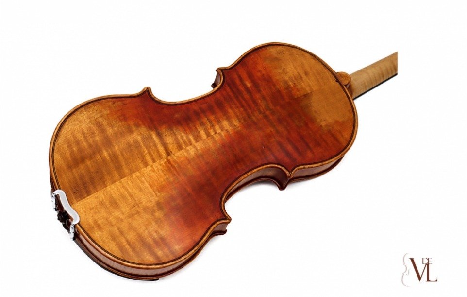 Paula Lazzarini - Antonio Stradivari