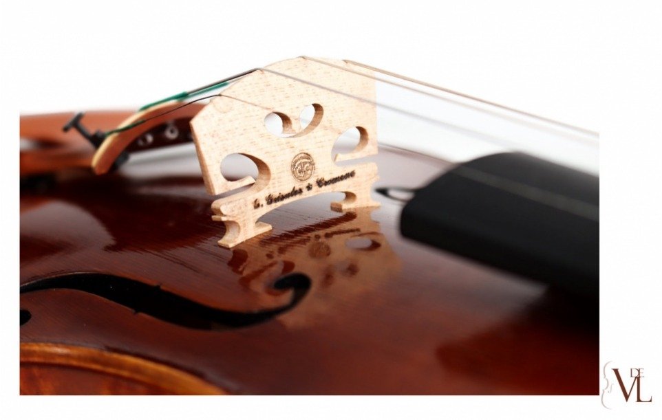 Violín Giorgio Grisales - Garimberti Personalizzato
