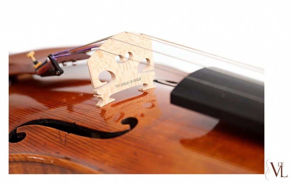 Daniele Tonarelli - Viola A. Guarneri 