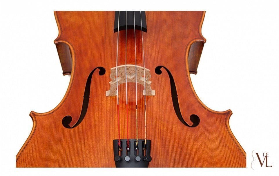 Daniele Tonarelli - Cello Stradivari 