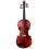 Violin Amadeus Vp301E - 3/4