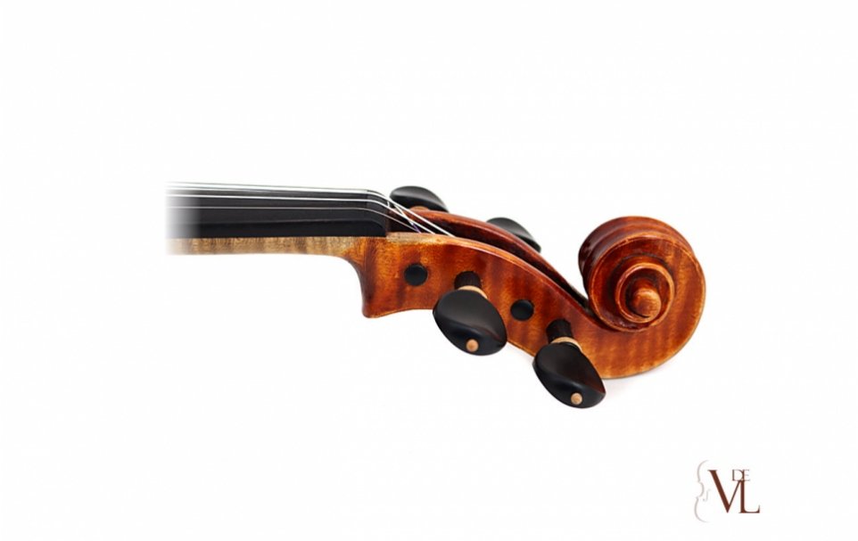 Violin Umberto Lanaro 2003