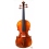 Violin Carlo Giordano Vs2 1/2 - Outlet 