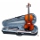 Violin Carlo Giordano Vs1 - 3/4 - Outlet