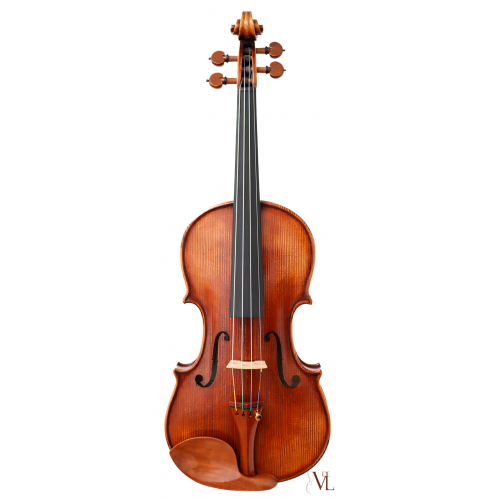 Violin Professional