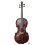Sebastian Rauch - Viola 1766