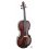 Sebastian Rauch - Viola 1766
