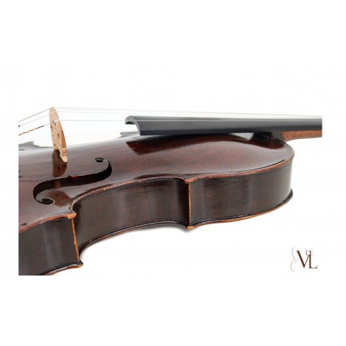 Viola 1766