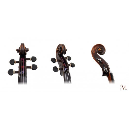 Viola 1766