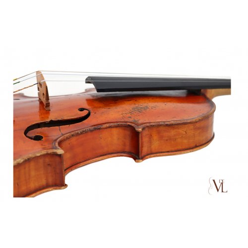 Viola 1769
