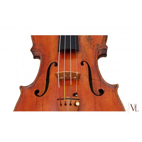 Viola 1769