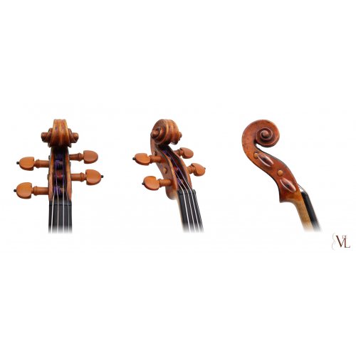 Viola 1769