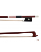 Violin Advance Student