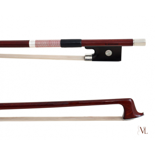 Violin Advance student