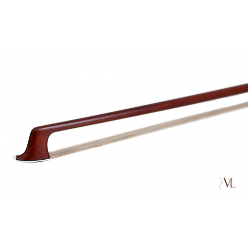 Violin Advance student