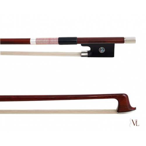 Violin Avanzado