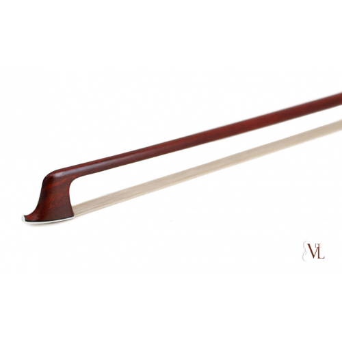 Violin Avanzado
