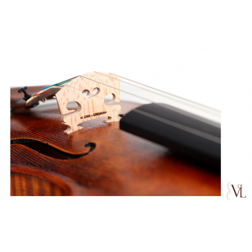 Guarneri del Gesú 1731