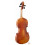 Volin Roderich Paesold Pa4803 Battista Guadanigni