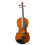Set Violin Ferdinand Muller Virtuoso 3/4