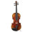 Violin Ferdinand Muller Soloist 3/4
